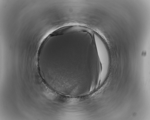 X0000090761173200708101740