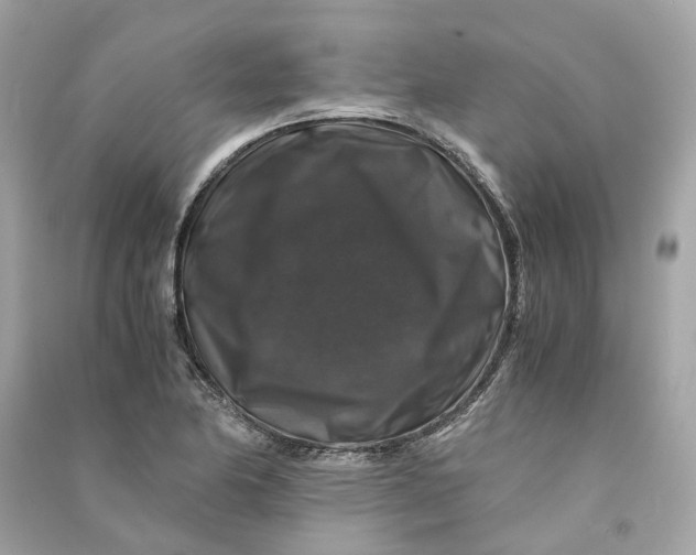 X0000090761174200708101740