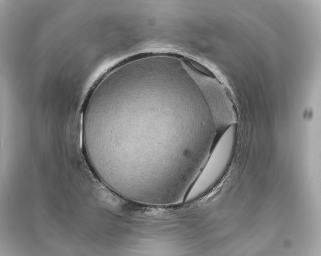 X0000090761175200708101740