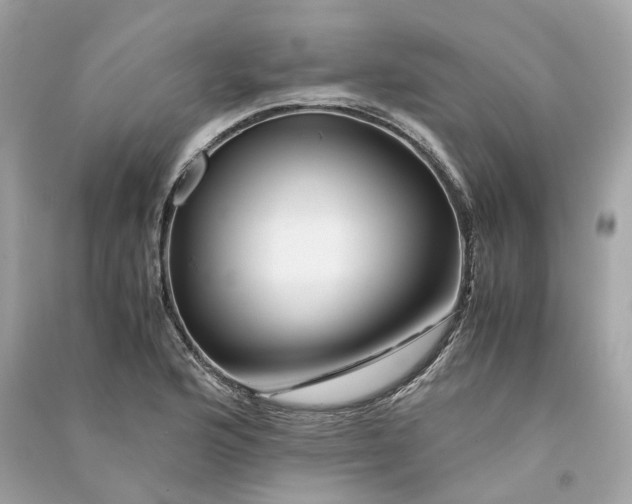 X0000090761176200708101740