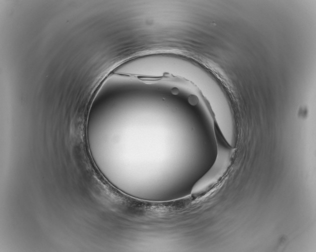 X0000090761177200708101740