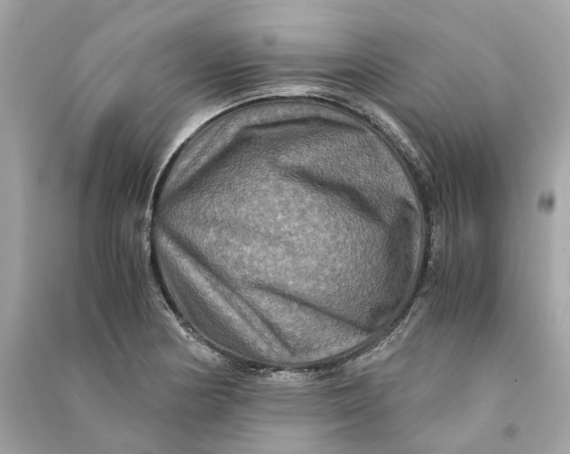 X0000090761178200708101740