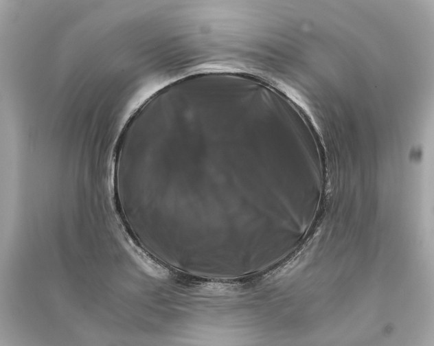 X0000090761179200708101740