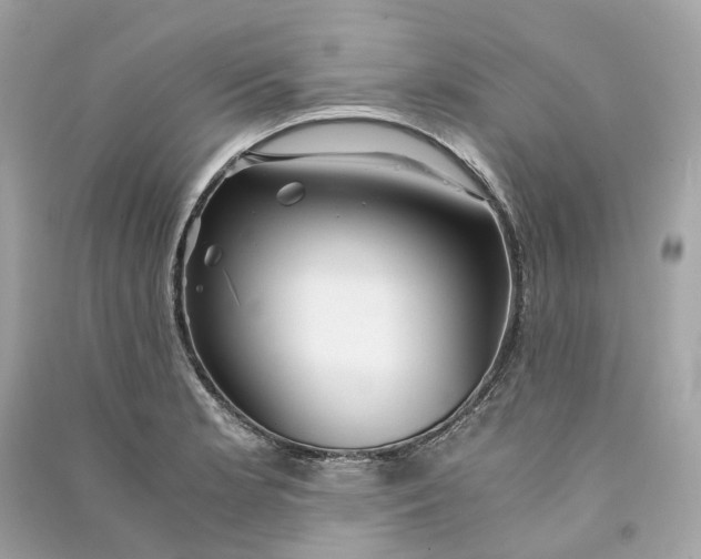 X0000090761181200708101740