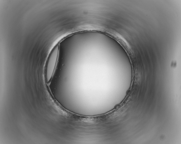 X0000090761182200708101740