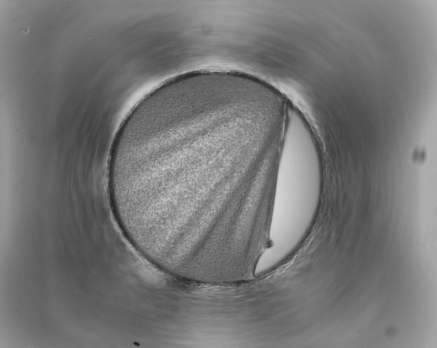 X0000090761183200708101740