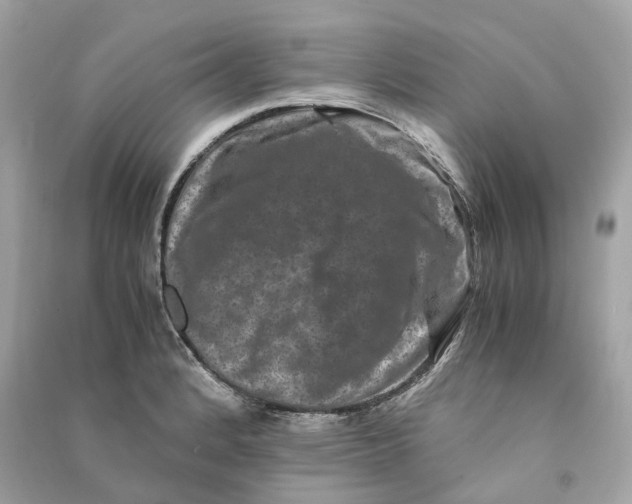 X0000090761184200708101740