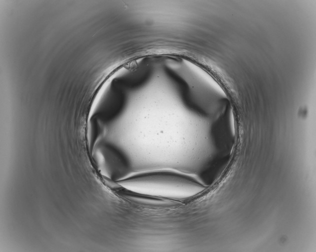 X0000090761185200708101740