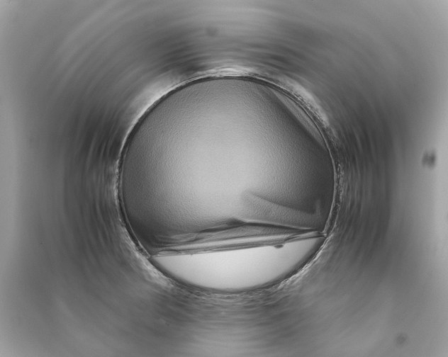 X0000090761186200708101740