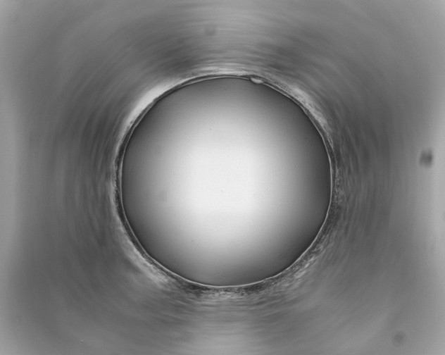 X0000090761187200708101740