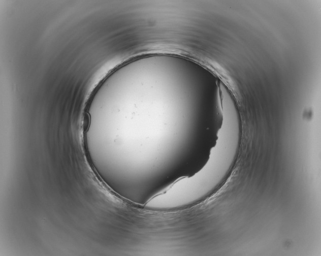 X0000090761188200708101740