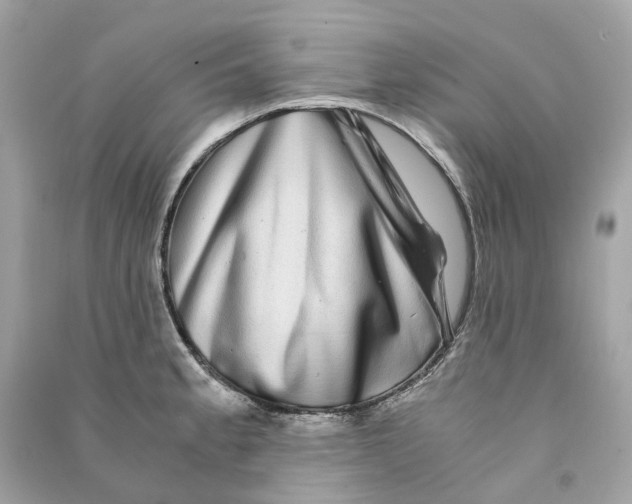 X0000090761189200708101740