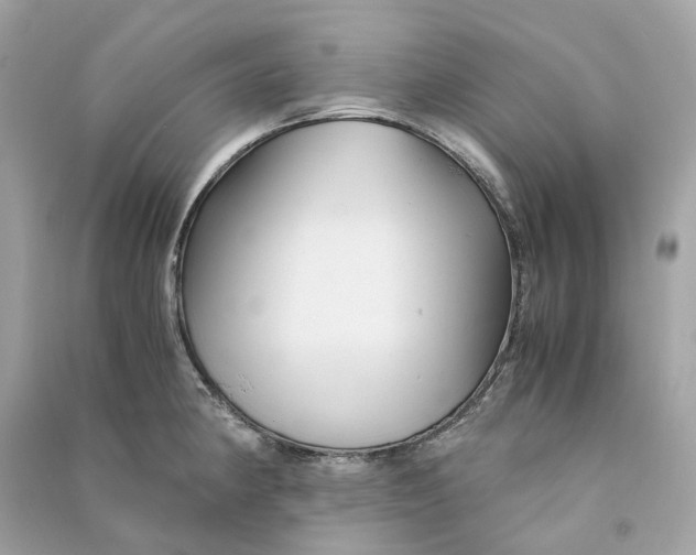 X0000090761190200708101740