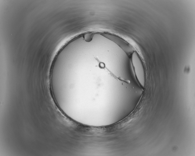 X0000090761191200708101740