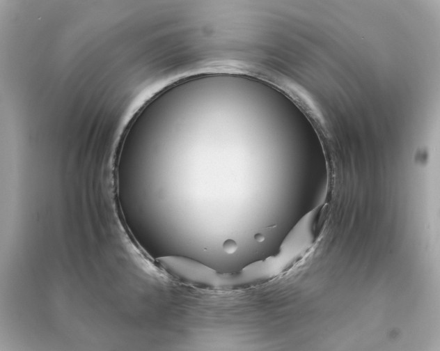 X0000090761192200708101740