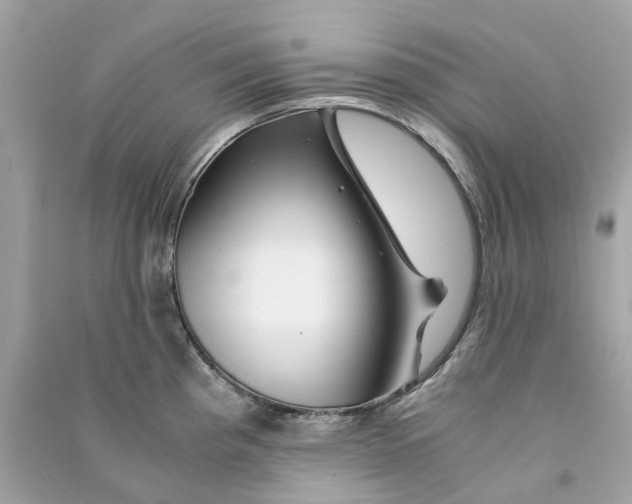 X0000090761193200708101740