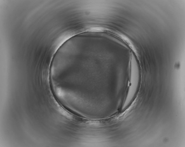 X0000090761194200708101740