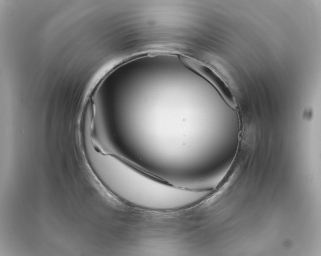 X0000090761196200708101740