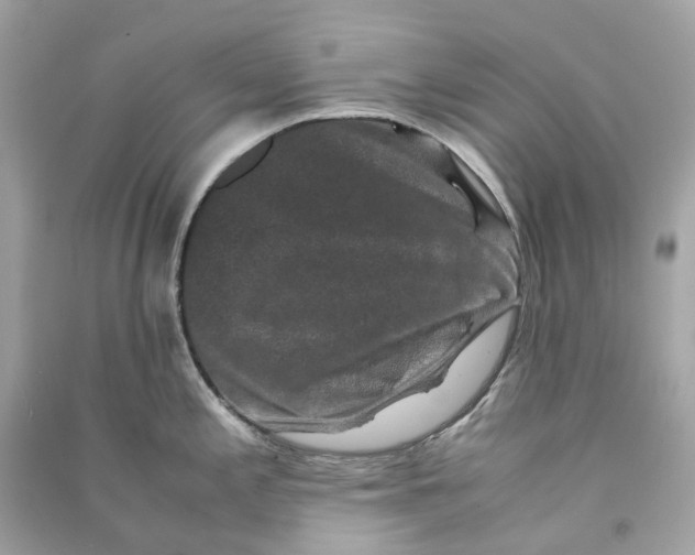 X0000090761197200708101740