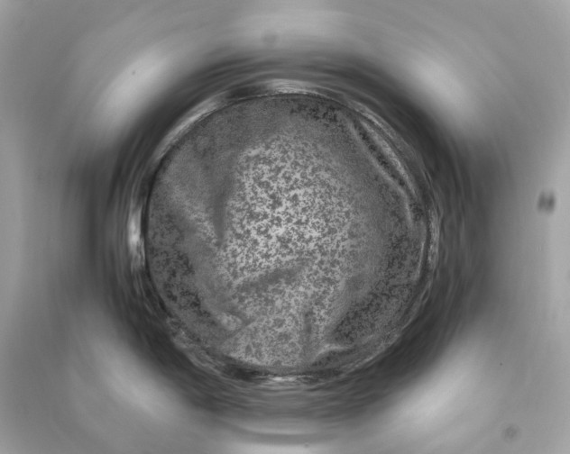 X0000090761198200708101740