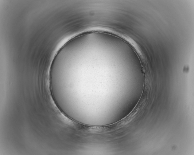 X0000090761199200708101740