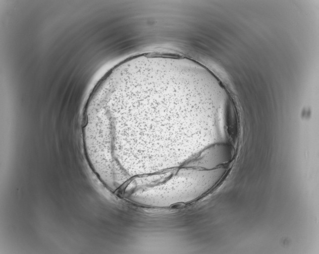 X0000090761200200708101740