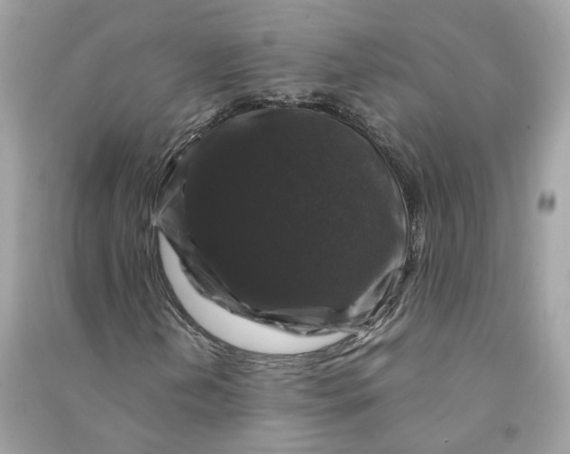 X0000090761202200708101739