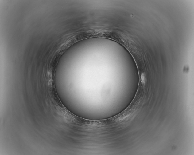 X0000090761203200708101739