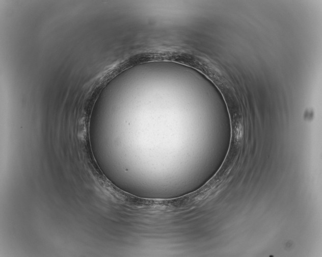 X0000090761204200708101739