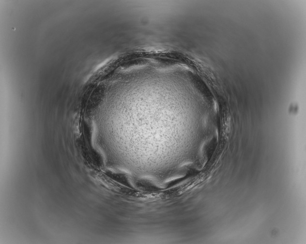 X0000090761205200708101739