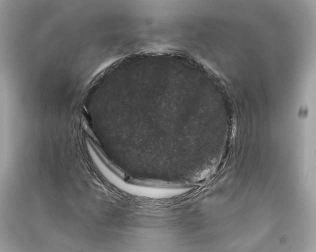 X0000090761206200708101740