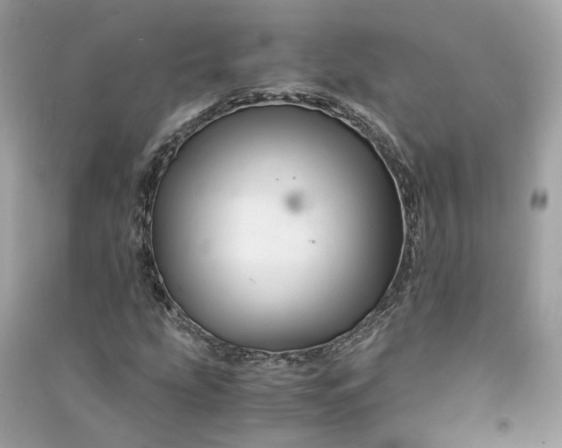 X0000090761207200708101740