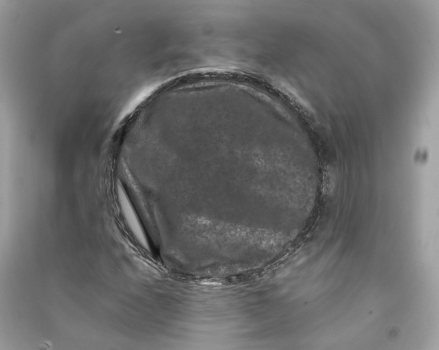 X0000090761208200708101740