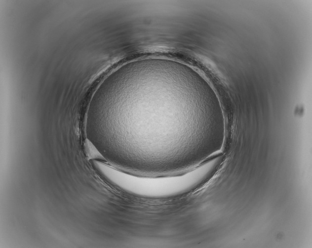 X0000090761209200708101740