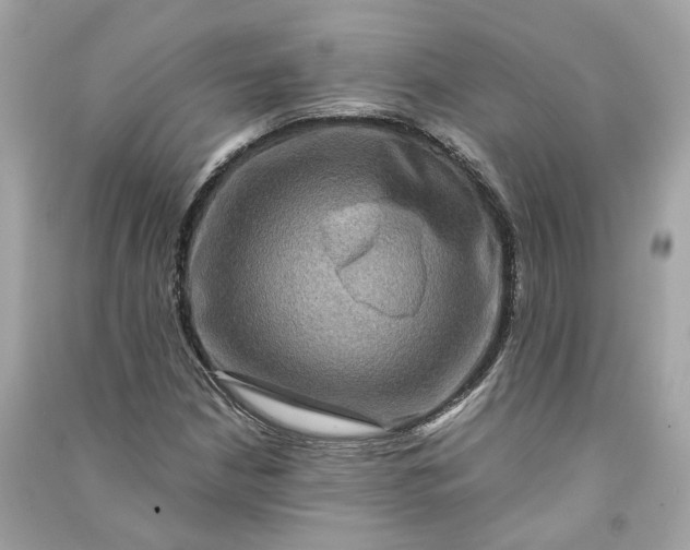 X0000090761210200708101740