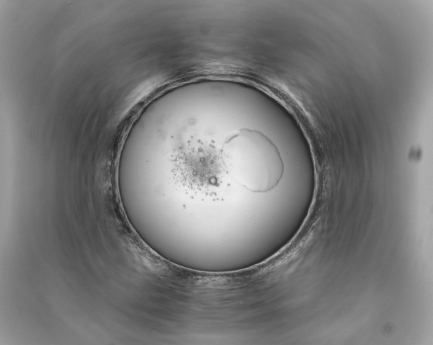 X0000090761211200708101740