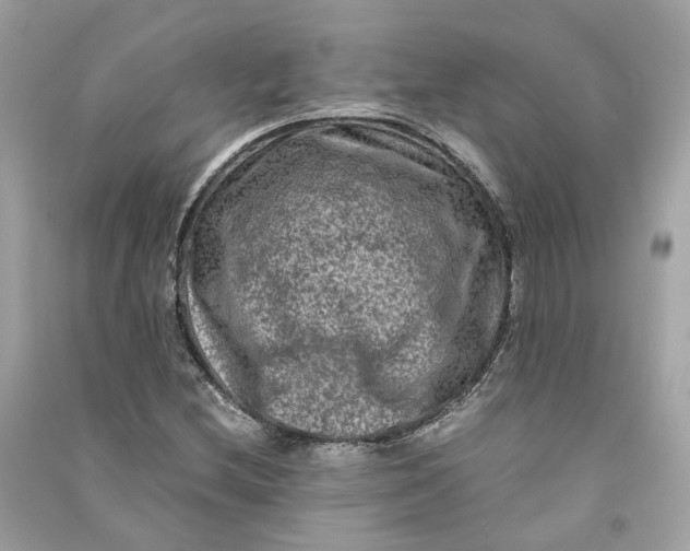 X0000090761212200708101740