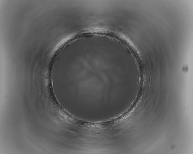 X0000090761213200708101740