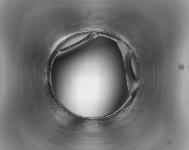 X0000090761214200708101740