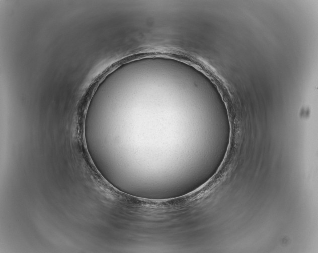 X0000090761215200708101740