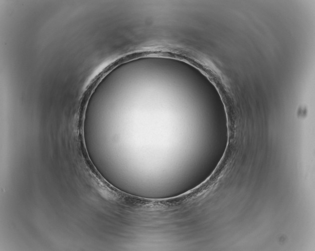 X0000090761216200708101740