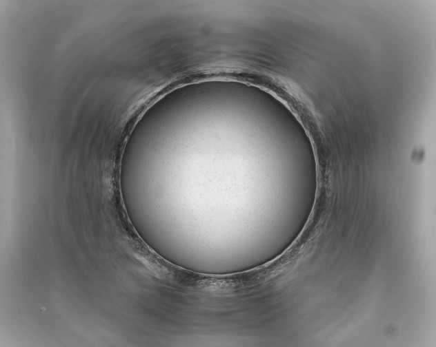 X0000090761217200708101740