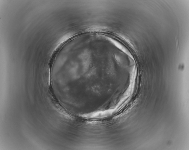 X0000090761219200708101740