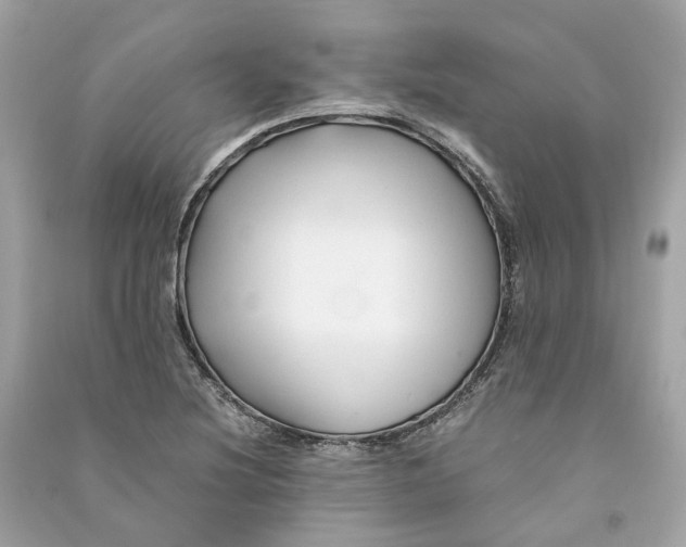 X0000090761220200708101740