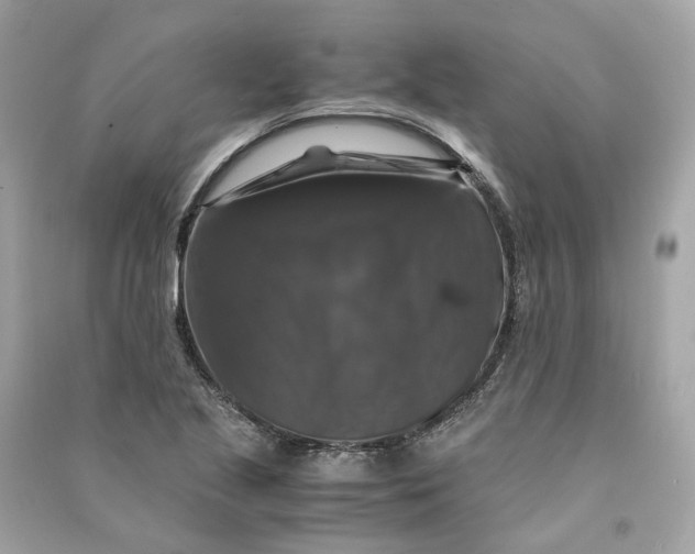 X0000090761221200708101740