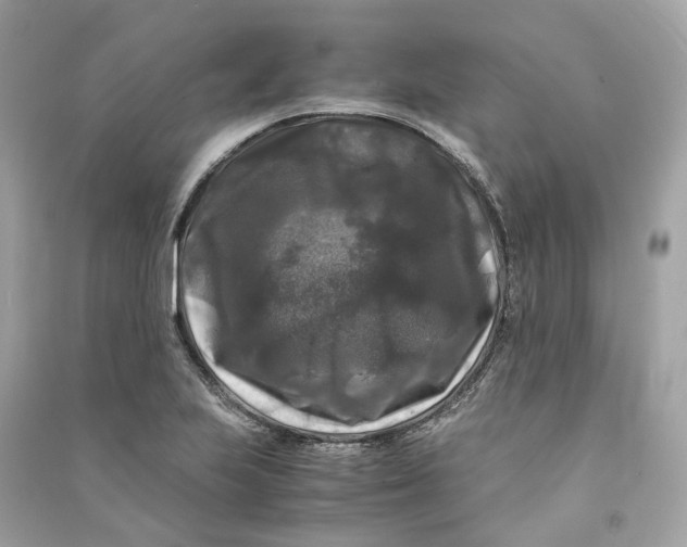 X0000090761223200708101740