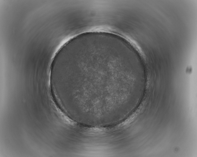 X0000090761224200708101740