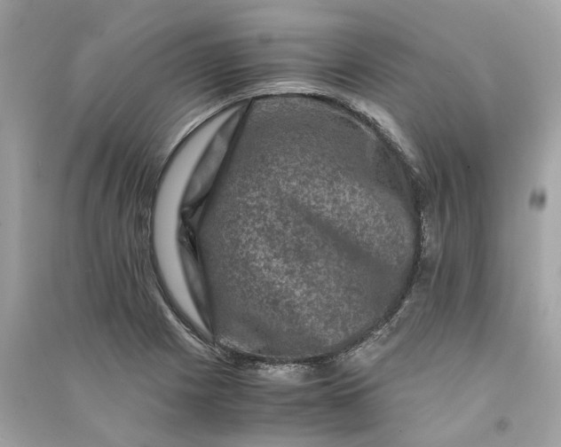 X0000090761225200708101740