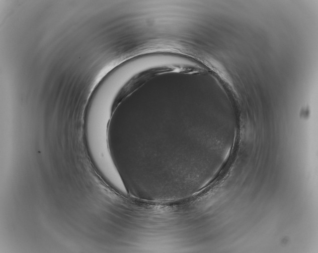 X0000090761226200708101740