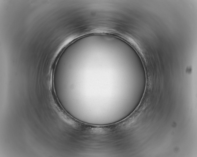 X0000090761227200708101740